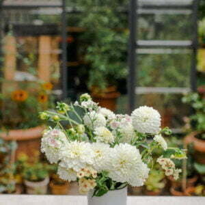 Blumenabo jede 14 Tagen