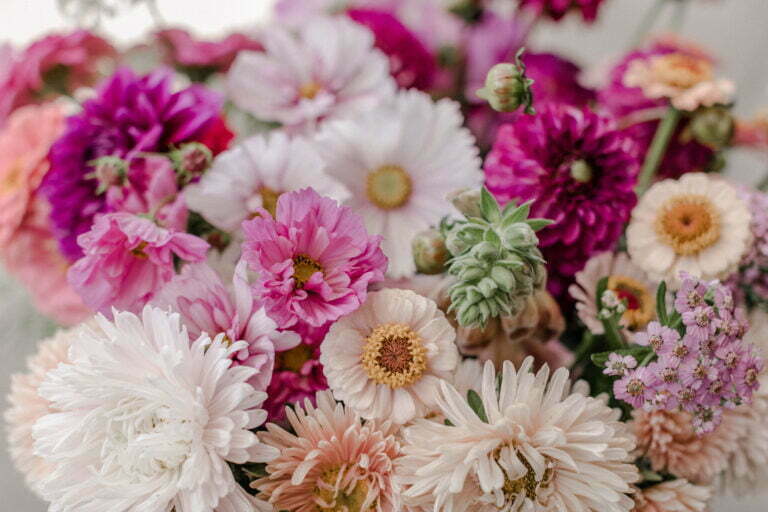 Slowflowers Wädenswil
