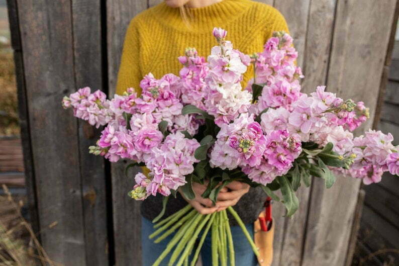 Slowflowers Wädenswil