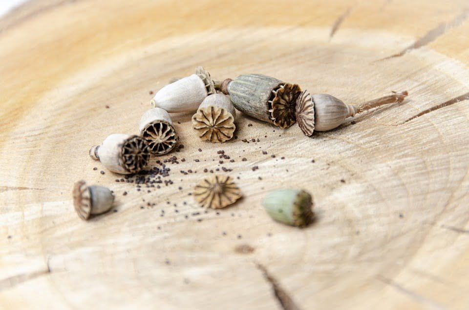 Slowflowers Wädenswil