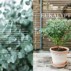 Eukalyptus: Anbau, Pflege, Gestaltung
