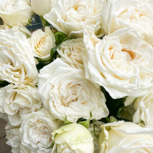 Gesunde Rosen, ganz natürlich