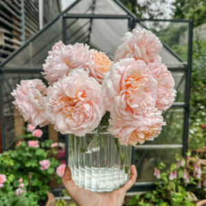 The Must-Have Luxury Box